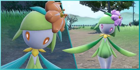 hisuian lilligant pokemon.